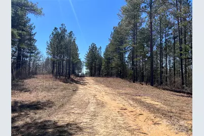 898 Burnt Gin Road, Gaffney, SC 29340 - Photo 40