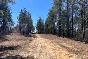 898 Burnt Gin Rd, Gaffney, SC 29340 - Photo 40