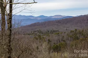371 E Falls View Dr, Pisgah Forest, NC 28768 - Photo 2