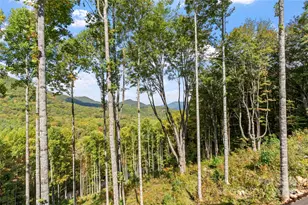 377 S Ridgerunner Rd, Burnsville, NC 28714 - Photo 42