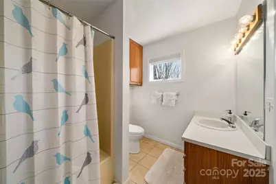 158 Blackberry Lane, Maggie Valley, NC 28751 - Photo 12