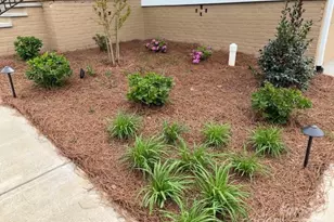 406 Williamson St, Fort Mill, SC 29715 - Photo 6