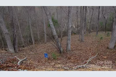 #74 Falling Water Drive, Green Mountain, NC 28740 - Photo 2