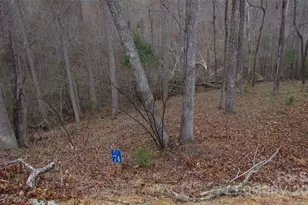 #74 Falling Water Dr, Green Mountain, NC 28740 - Photo 2