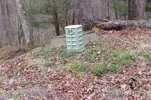 #74 Falling Water Dr, Green Mountain, NC 28740 - Photo 14