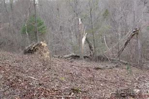 #74 Falling Water Dr, Green Mountain, NC 28740 - Photo 10