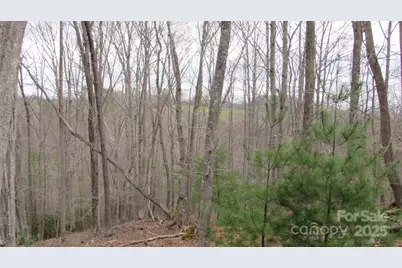 #74 Falling Water Drive, Green Mountain, NC 28740 - Photo 4