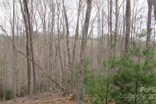 #74 Falling Water Dr, Green Mountain, NC 28740 - Photo 4