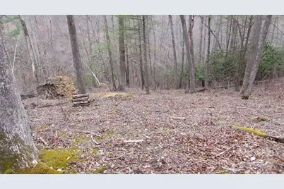 #74 Falling Water Drive, Green Mountain, NC 28740 - Photo 8