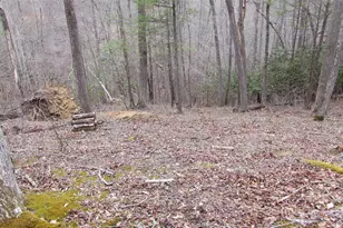 #74 Falling Water Dr, Green Mountain, NC 28740 - Photo 8