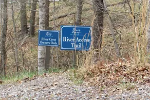 #74 Falling Water Dr, Green Mountain, NC 28740 - Photo 16