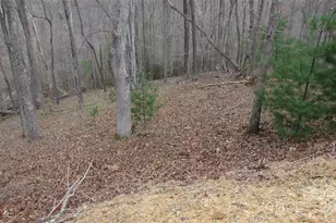 #74 Falling Water Dr, Green Mountain, NC 28740 - Photo 6