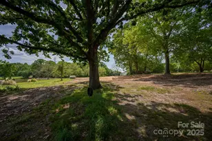 8805 Wingard Dr, Waxhaw, NC 28173 - Photo 42