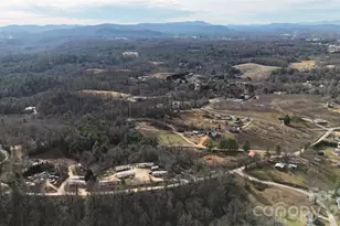 160 & 196 Dudley Dr, Flat Rock, NC 28731 - Photo 1