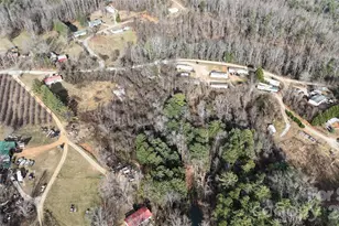 160 & 196 Dudley Dr, Flat Rock, NC 28731 - Photo 8