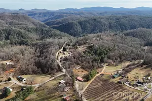 160 & 196 Dudley Dr, Flat Rock, NC 28731 - Photo 4