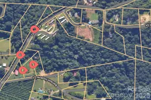 160 & 196 Dudley Dr, Flat Rock, NC 28731 - Photo 2