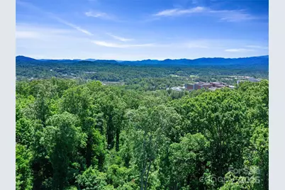 44 Samuel Ashe Drive, Asheville, NC 28805 - Photo 24