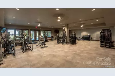 475 Dancing Bear Drive, Hendersonville, NC 28792 - Photo 24