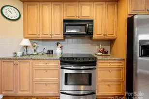 361 Laurel Park Pl, Hendersonville, NC 28791 - Photo 14