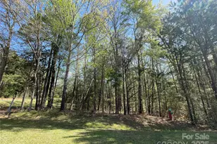 215 Old Dixie Rd, Lancaster, SC 29720 - Photo 20