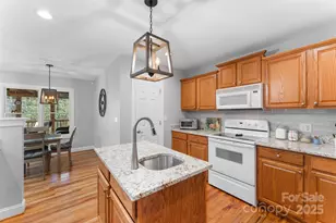 226 Ogana Ct, Brevard, NC 28712 - Photo 10