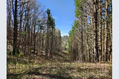 6033 Hwy 321 Highway, Sugar Grove, NC 28679 - Photo 24