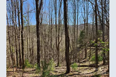 6033 Hwy 321 Highway, Sugar Grove, NC 28679 - Photo 2