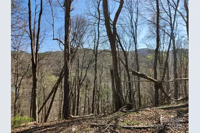 6033 Hwy 321 Highway, Sugar Grove, NC 28679 - Photo 26