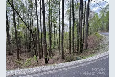 Na Fontana Lake Estate, Bryson City, NC 28713 - Photo 14