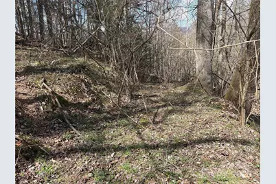 8951 US 25/70 Highway, Marshall, NC 28753 - Photo 8