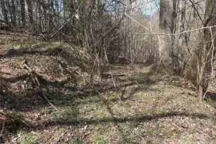 8951 US 25/70 Hwy, Marshall, NC 28753 - Photo 8