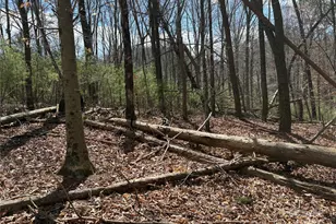 8951 US 25/70 Hwy, Marshall, NC 28753 - Photo 14