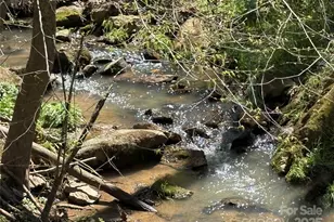 8951 US 25/70 Hwy, Marshall, NC 28753 - Photo 4