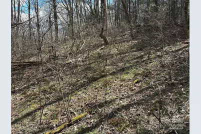 8951 US 25/70 Highway, Marshall, NC 28753 - Photo 10