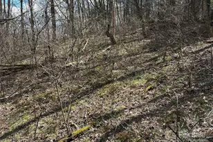 8951 US 25/70 Hwy, Marshall, NC 28753 - Photo 10