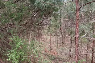 11055 Graybark Rd, Midland, NC 28107 - Photo 4