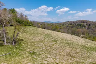 435 Upper Glady Fork Rd, Candler, NC 28715 - Photo 6