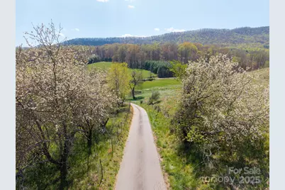 435 Upper Glady Fork Road, Candler, NC 28715 - Photo 12