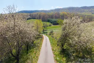 435 Upper Glady Fork Rd, Candler, NC 28715 - Photo 12