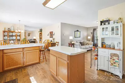 54 Golddigger Drive, Candler, NC 28715 - Photo 18