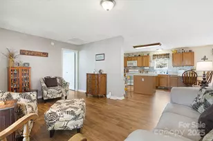 54 Golddigger Dr, Candler, NC 28715 - Photo 12