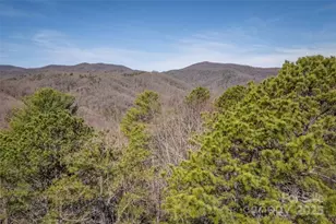 Lot 3 Heavenly Hill Rd, Brevard, NC 28712 - Photo 1