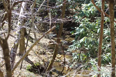 V/L Heartwood Forest Drive #26 & 27, Collettsville, NC 28611 - Photo 12