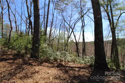 V/L Heartwood Forest Drive #26 & 27, Collettsville, NC 28611 - Photo 2