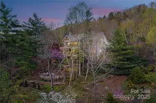 256 Senator Reynolds Rd, Asheville, NC 28804 - Photo 40