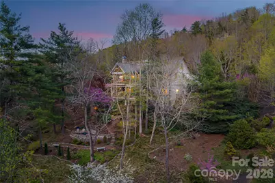 256 Senator Reynolds Road, Asheville, NC 28804 - Photo 42