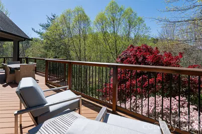 256 Senator Reynolds Road, Asheville, NC 28804 - Photo 36