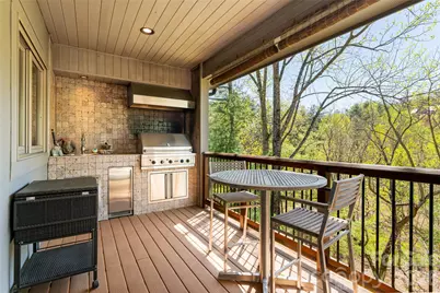 256 Senator Reynolds Road, Asheville, NC 28804 - Photo 36