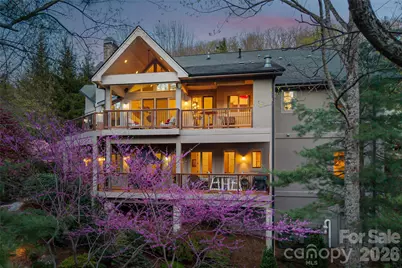 256 Senator Reynolds Road, Asheville, NC 28804 - Photo 1